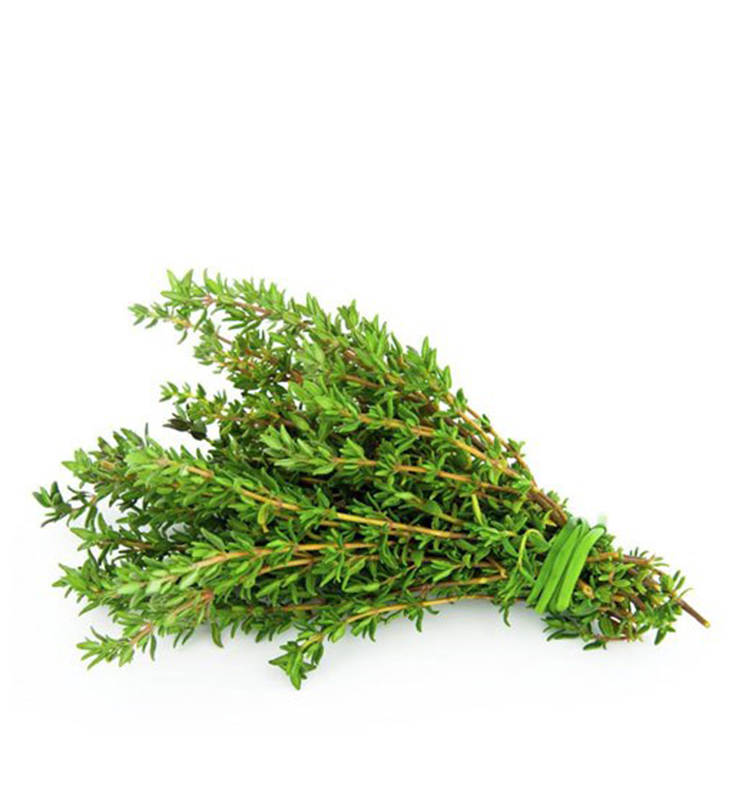 Fresh Thyme