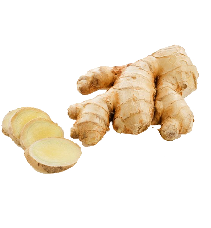 Ginger