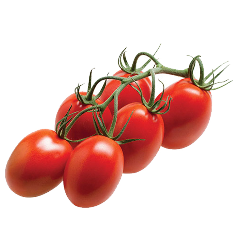 Plummy Tomato