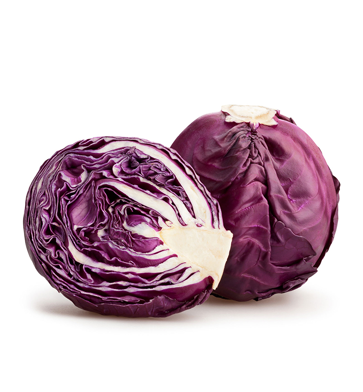 Purple Cabbage