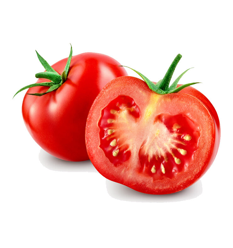 Salad Tomato