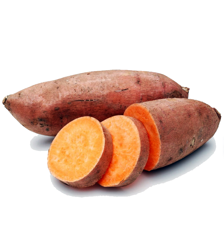 Sweet Potato