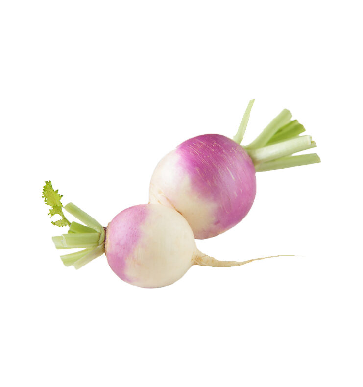 Turnip