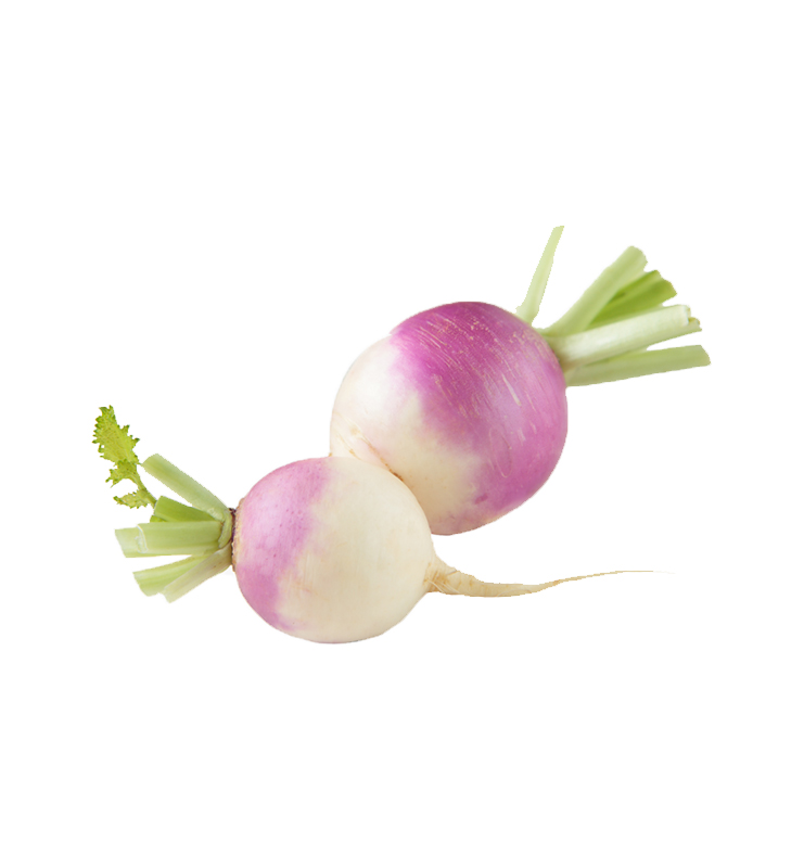 Turnip
