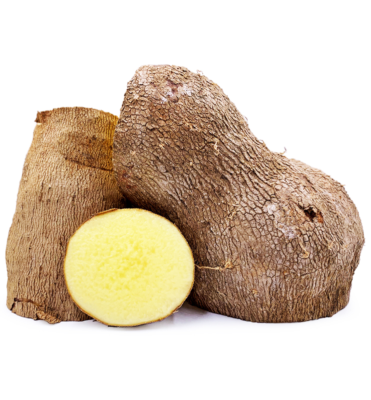 Yellow Yam